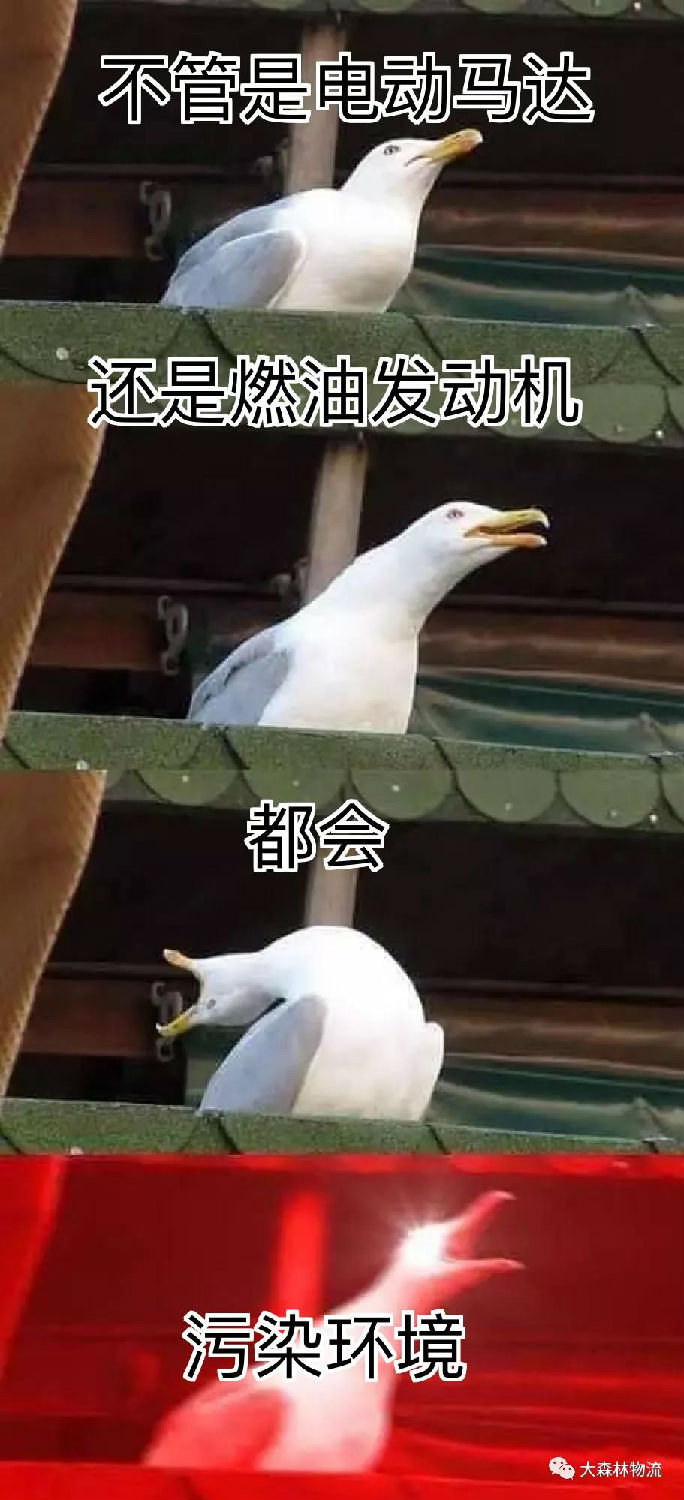 大森林