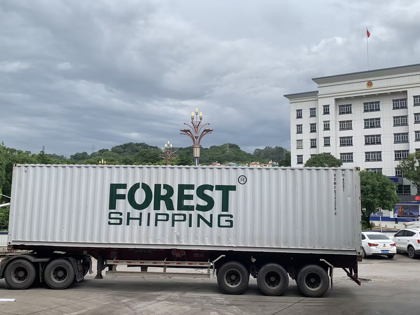 大森林全球物流,forestshipping